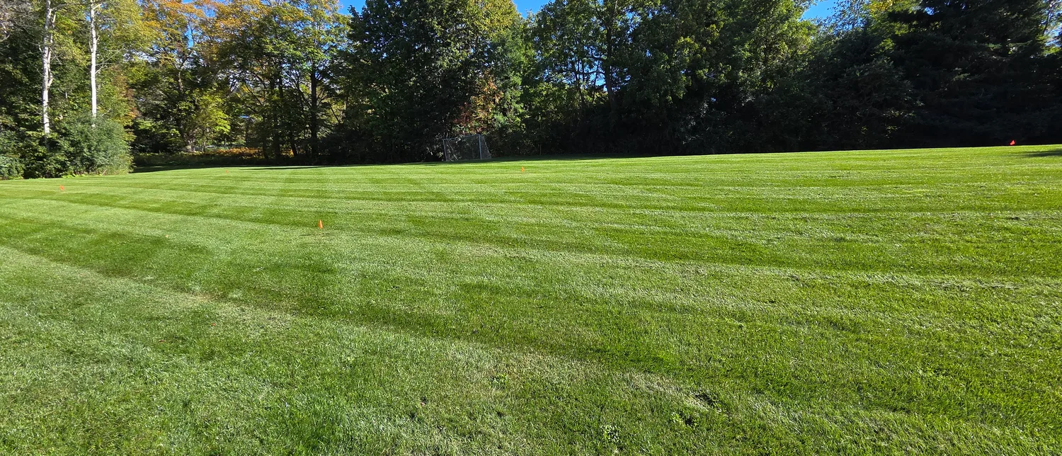 Freshly mown lawn with clean stripes beside a wooded property